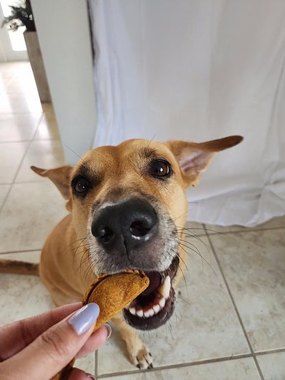 PB & Pumpkin Treat Bag