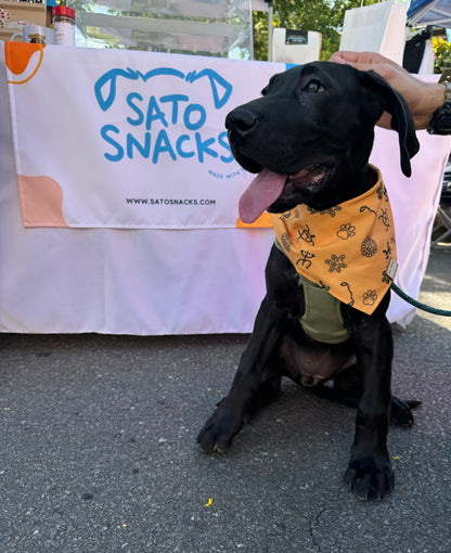 Sato Snacks Bandana