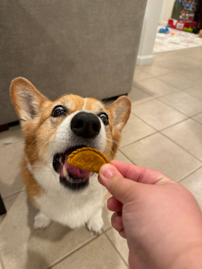 PB & Pumpkin Treat Bag