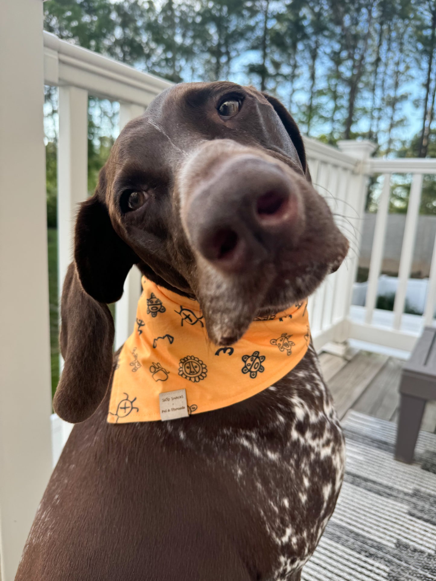 Sato Snacks Bandana