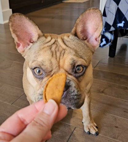 PB & Pumpkin Treat Bag